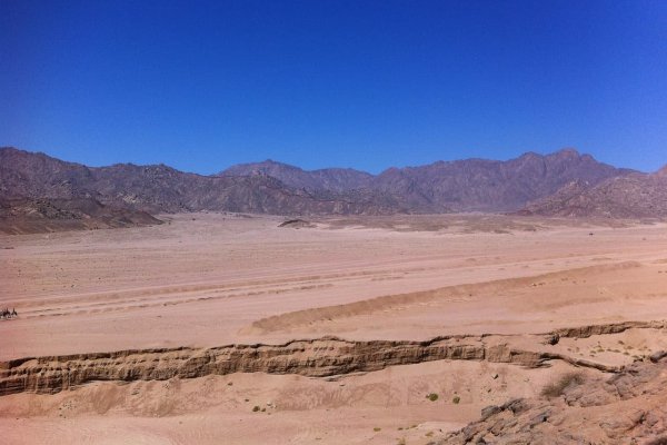 Кракен современный маркет