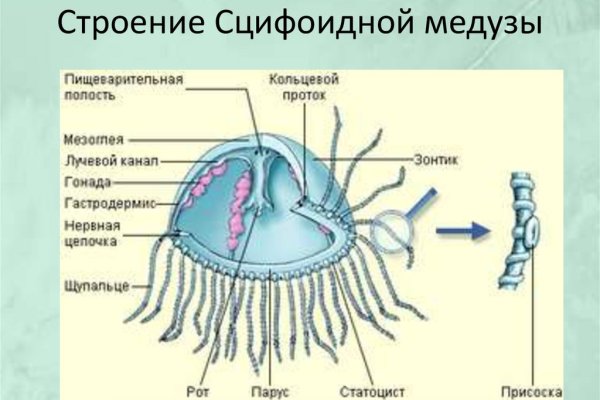 Кракен наркоз магазин